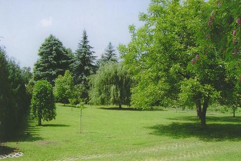 photo2