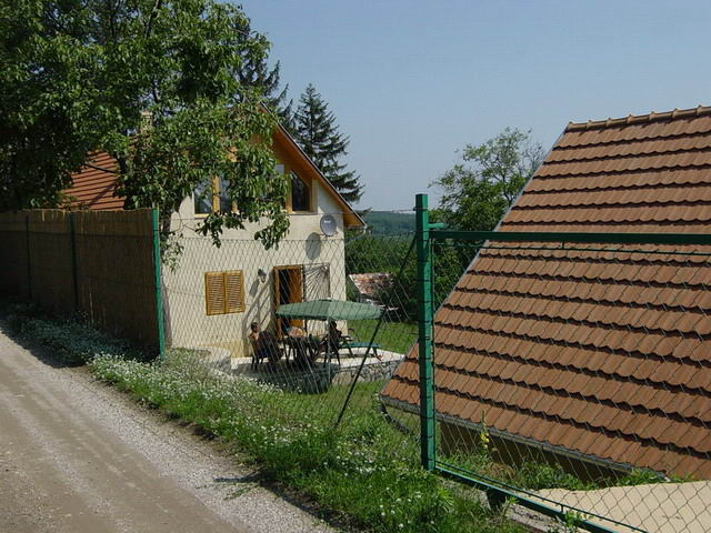photo1