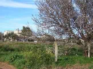 photo1