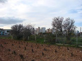 photo2