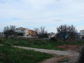 photo3
