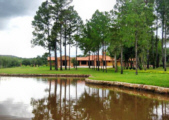 photo1