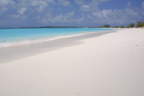 photo1