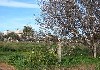 photo1