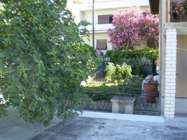 photo4