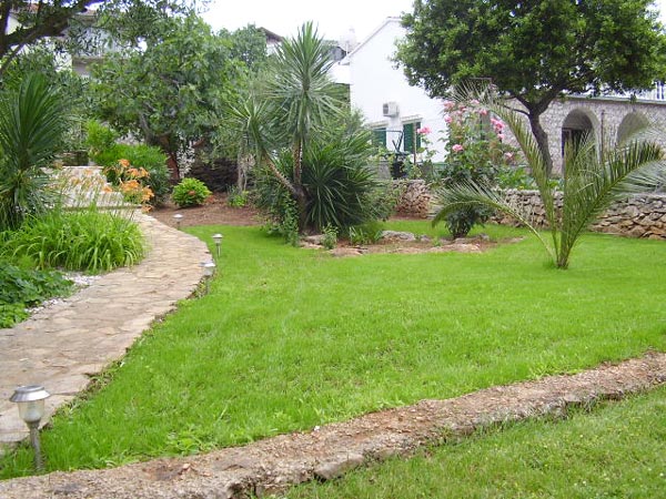 photo3