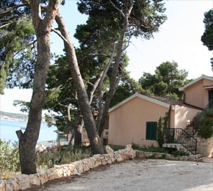 photo1