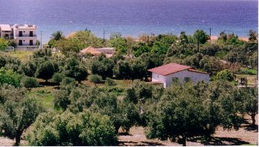 photo3