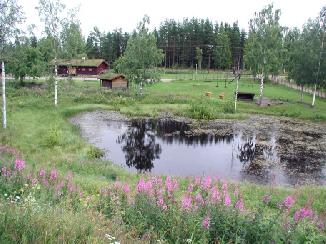 photo5