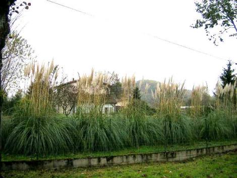 photo4